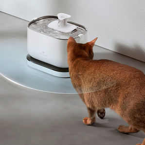 HomeModrn Smart Automatic Cat Fountain
